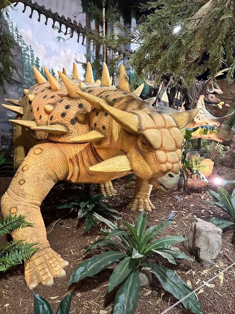 Jaw-Dropping Dinosaur Exhibits on the Second Floor