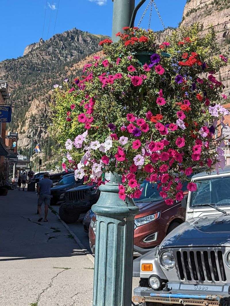 Jeep Tours and Off-Road Trails