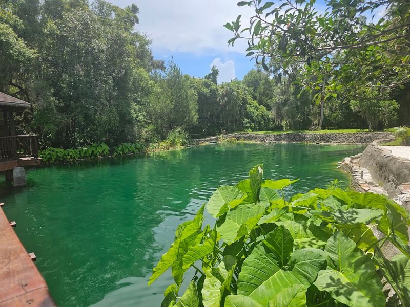John's Lagoon — The Above-Ground Swimming Area Next to the Den