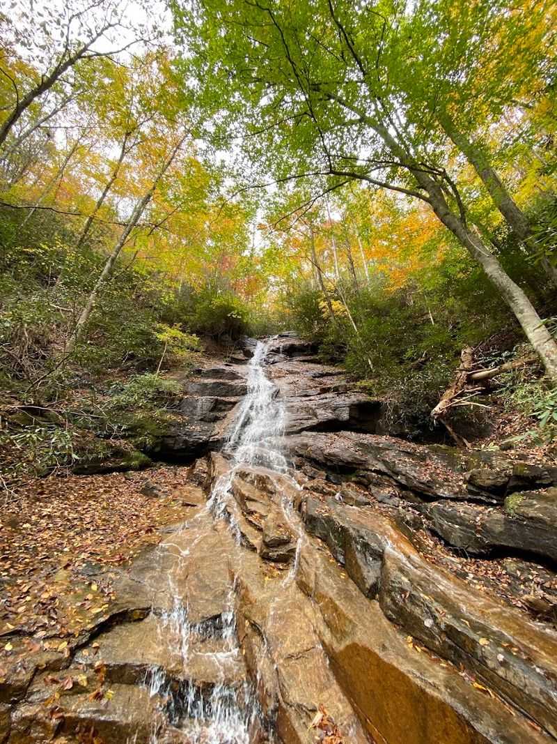 Jones Gap Falls: A Rewarding Moderate Hike