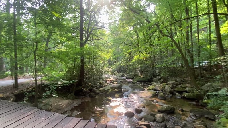 Jones Gap State Park - Marietta, South Carolina