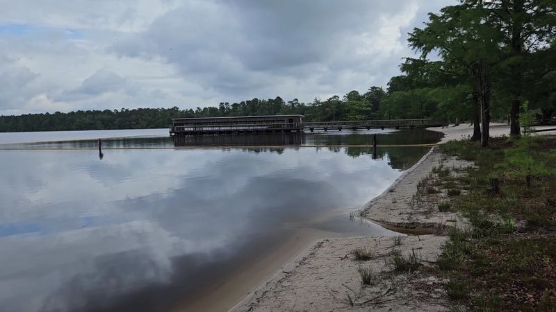 Jones Lake State Park - Elizabethtown, North Carolina