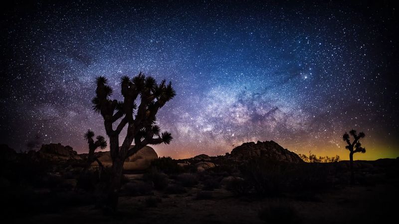 Joshua Tree National Park - California Joshua Tree National Park - California