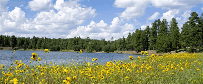 Kaibab National Forest: Wilderness at Your Doorstep