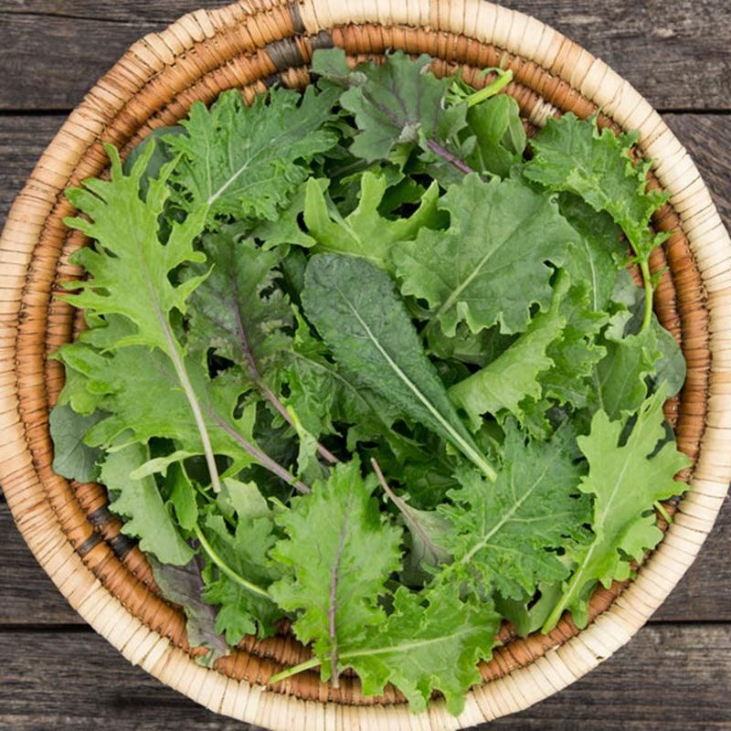 Kale Mix Kale Mix