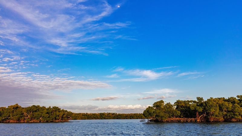 Kayaking and Canoeing Through Untouched Wilderness