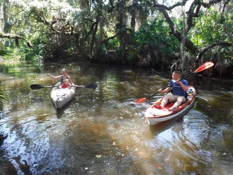 Kayaking and Canoeing on South Creek