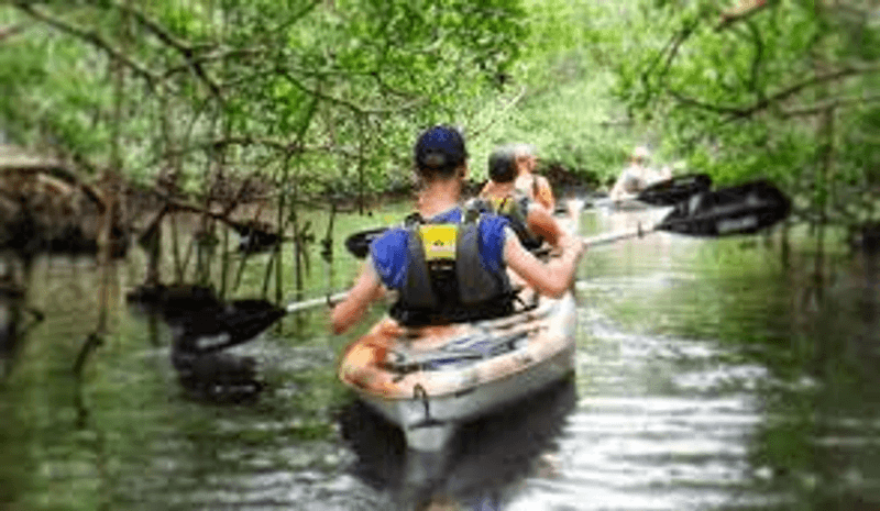 Kayaking and Paddleboarding Through Island Waterways