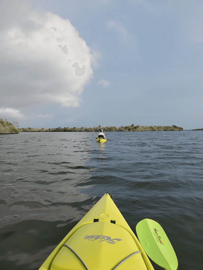 Kayaking and Paddleboarding Through Mangrove Tunnels