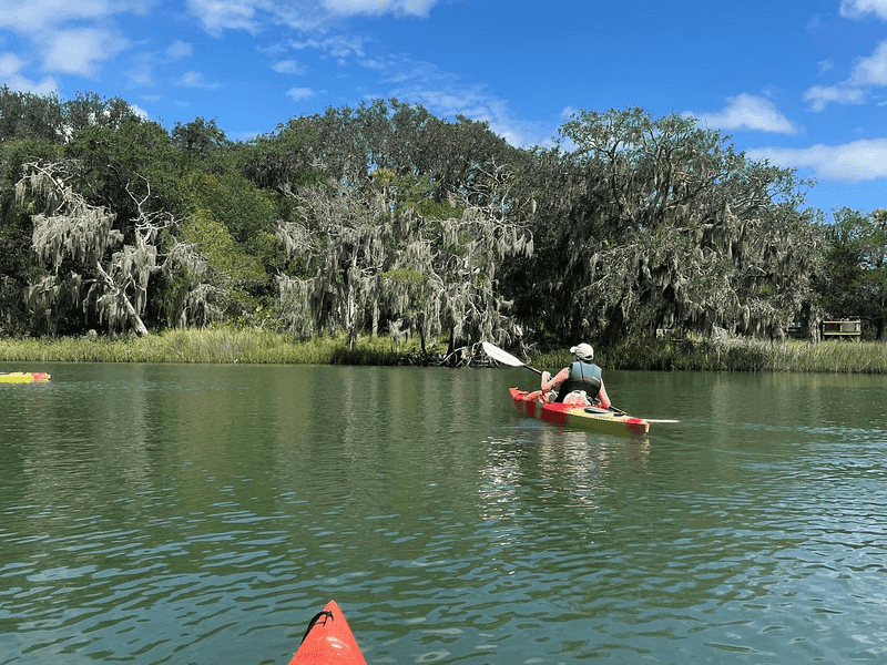 Kayaking and Paddleboarding Through Scenic Salt Marshes