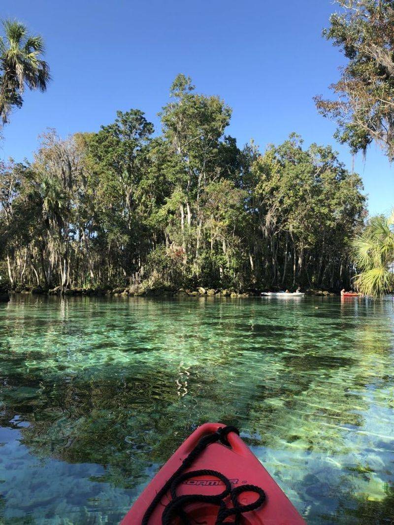 Kayaking and Paddleboarding the Crystal River