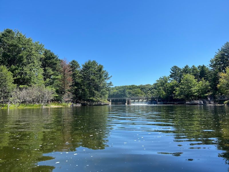 Kayaking on Hamlin Lake and Lost Lake Kayaking on Hamlin Lake and Lost Lake
