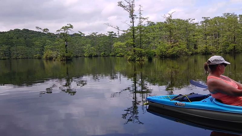 Kayaking on the Pond: Paddle Into Pure Serenity