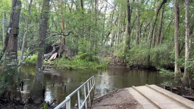 Kayaking the Edisto River
