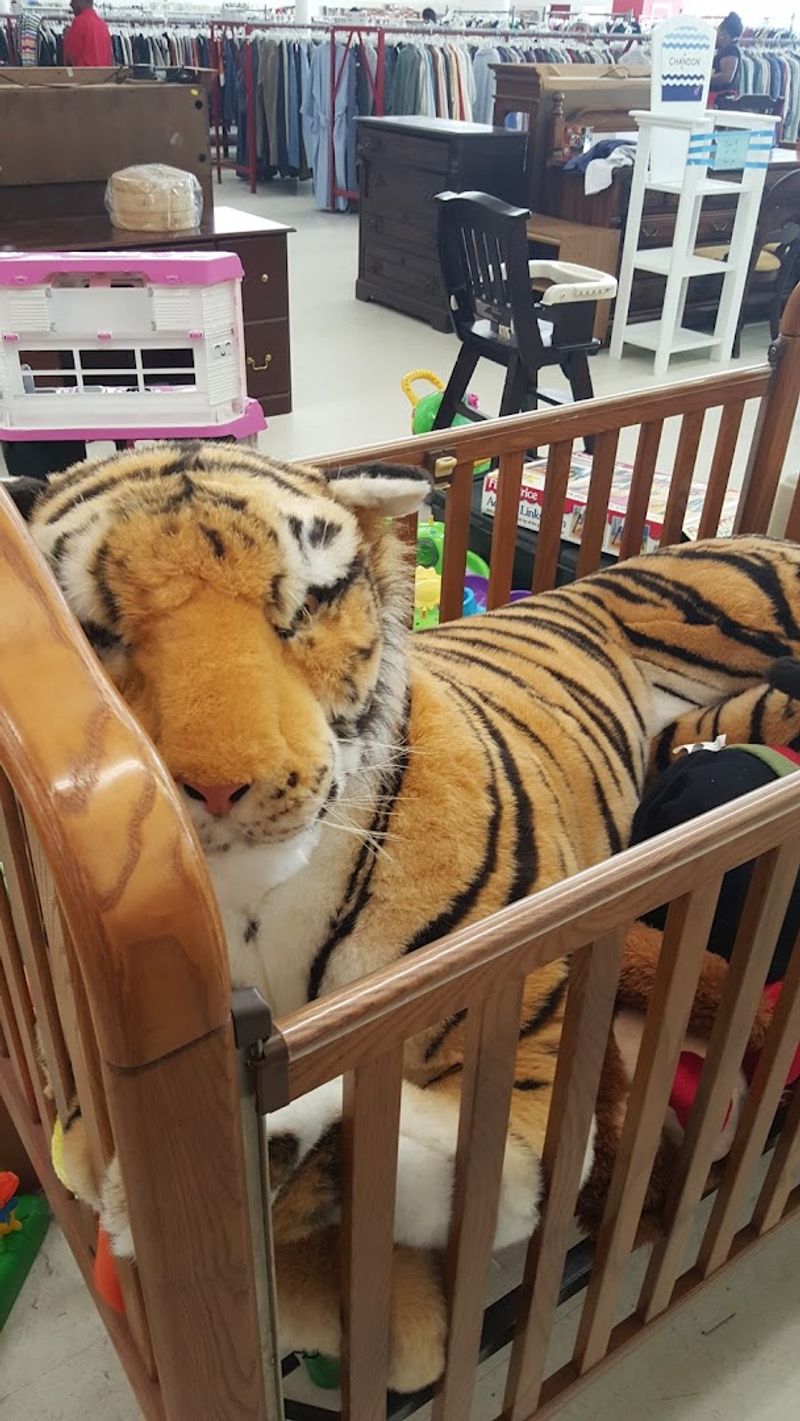 Kids' Clothing and Toys Section