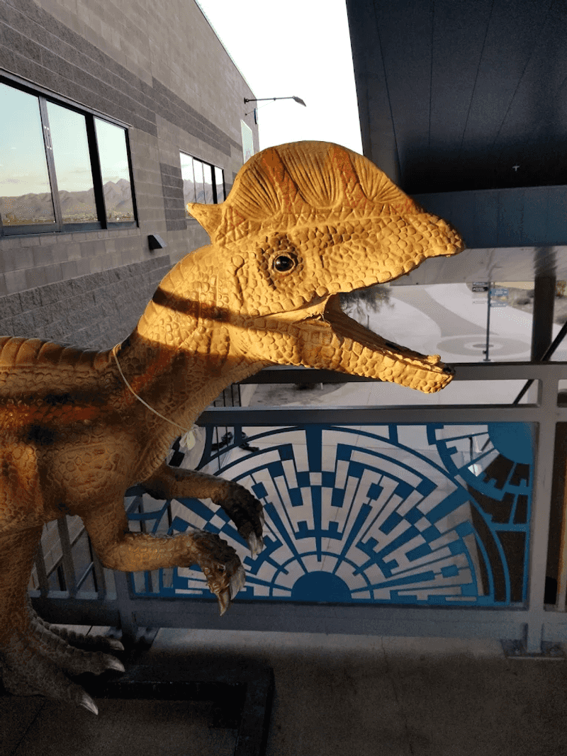 Kids Get a Free Dinosaur Toy With Every Visit