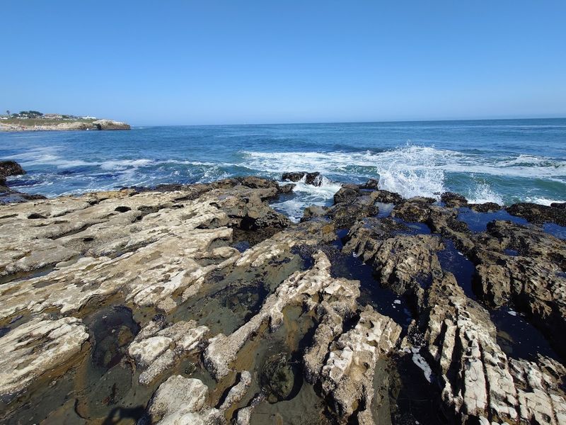 King Tides and Seasonal Events