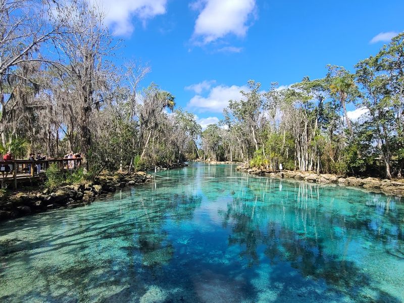 Kings Bay and Its Freshwater Springs
