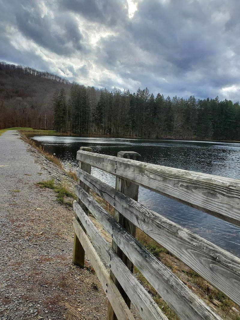 Kinzua Bridge State Park