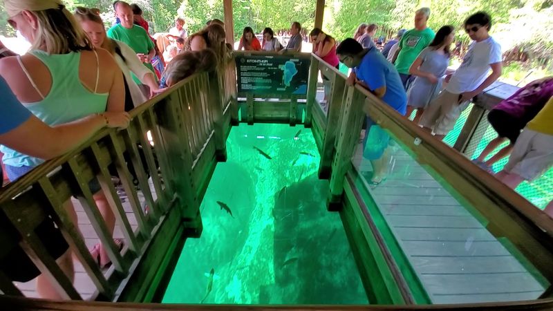 Kitch-iti-kipi (The Big Spring) - Manistique, Michigan Kitch-iti-kipi (The Big Spring) - Manistique, Michigan