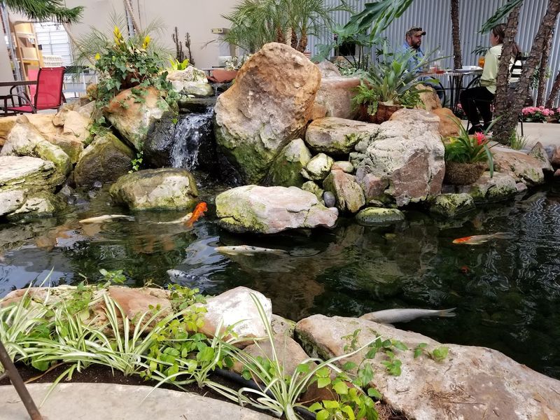 Koi Ponds That Turn a Simple Visit Into Something Magical Koi Ponds That Turn a Simple Visit Into Something Magical