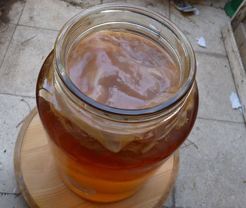 Kombucha Kombucha
