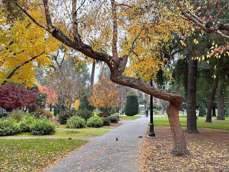 Labeled Trees From Around the World Surrounding the Garden