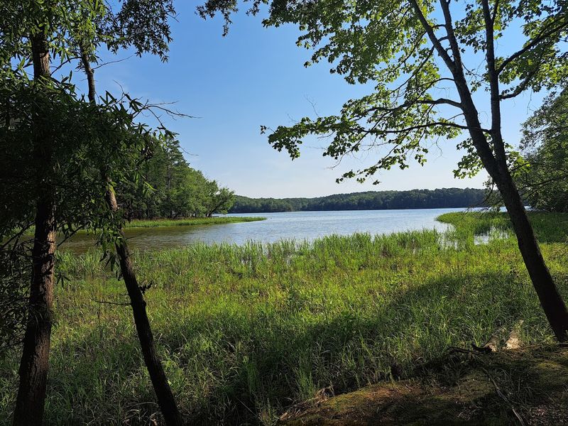 Lakeside Camping That Actually Lives Up to the Hype