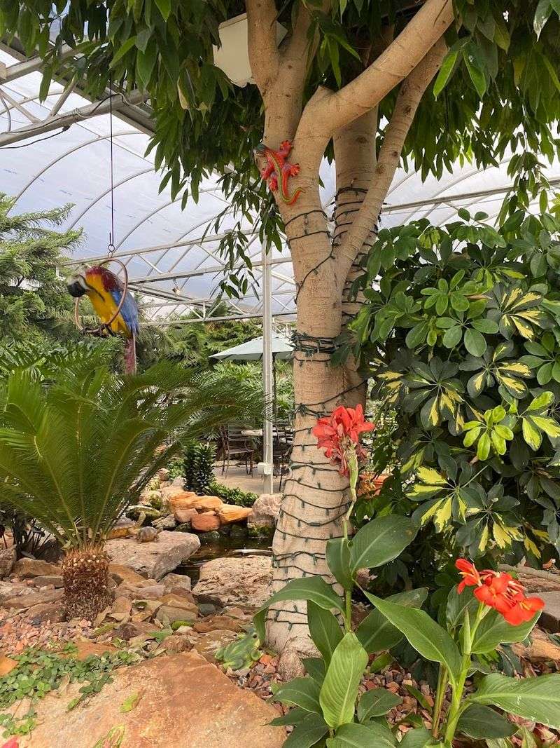 Landscaping and Tree Services That Customers Absolutely Trust Landscaping and Tree Services That Customers Absolutely Trust
