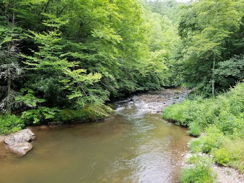 Laurel Creek Fishing Spot Laurel Creek Fishing Spot