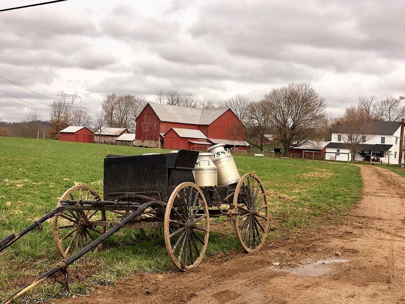 Learn About Amish Culture and Traditions