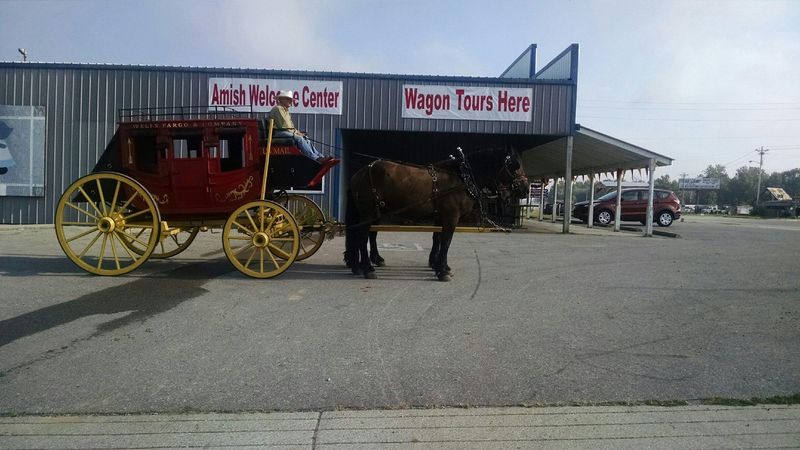 Learning About Amish Culture and Traditions