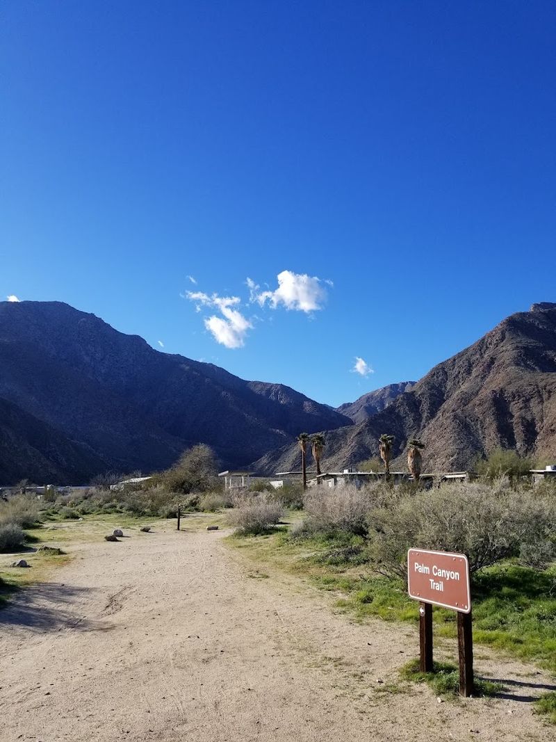 Learning Desert History at the Visitor Center