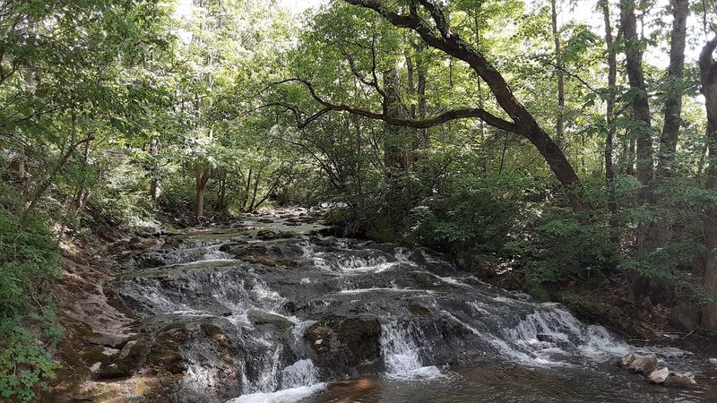Lebanon, Virginia