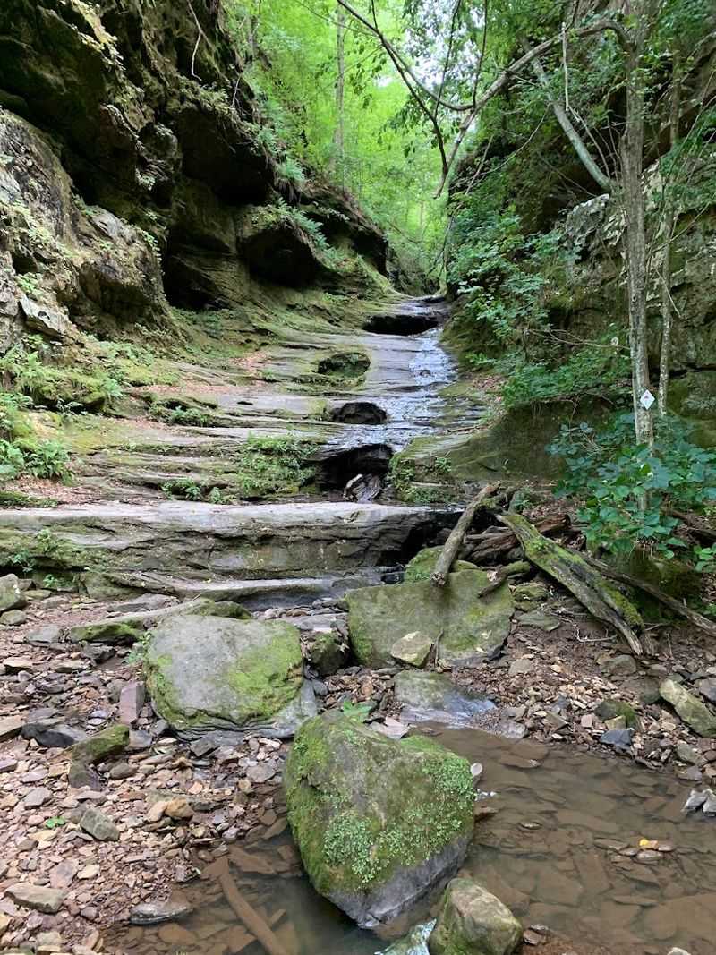 Little Grand Canyon - Pomona, Illinois