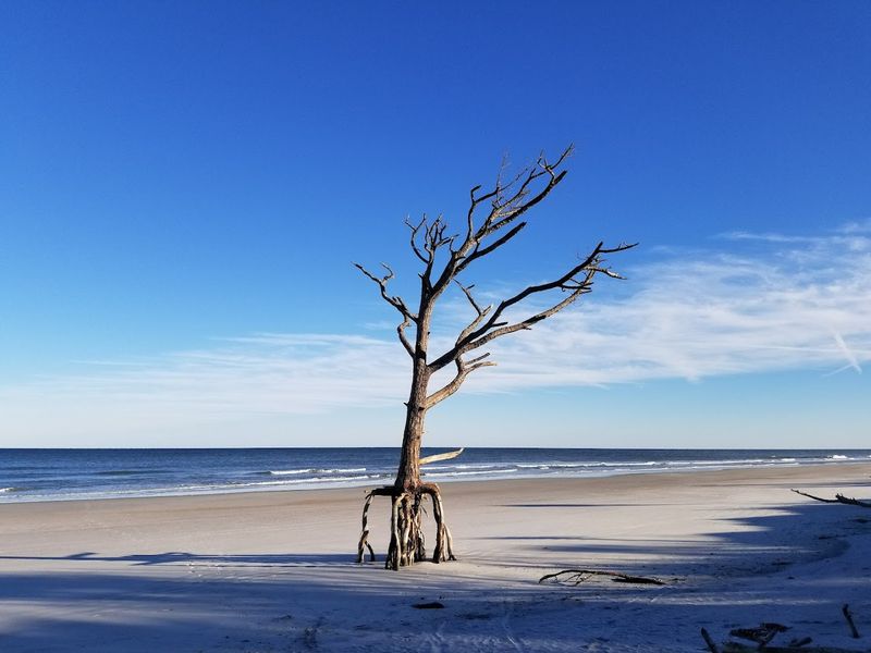 Little Talbot Island State Park - Jacksonville, Florida