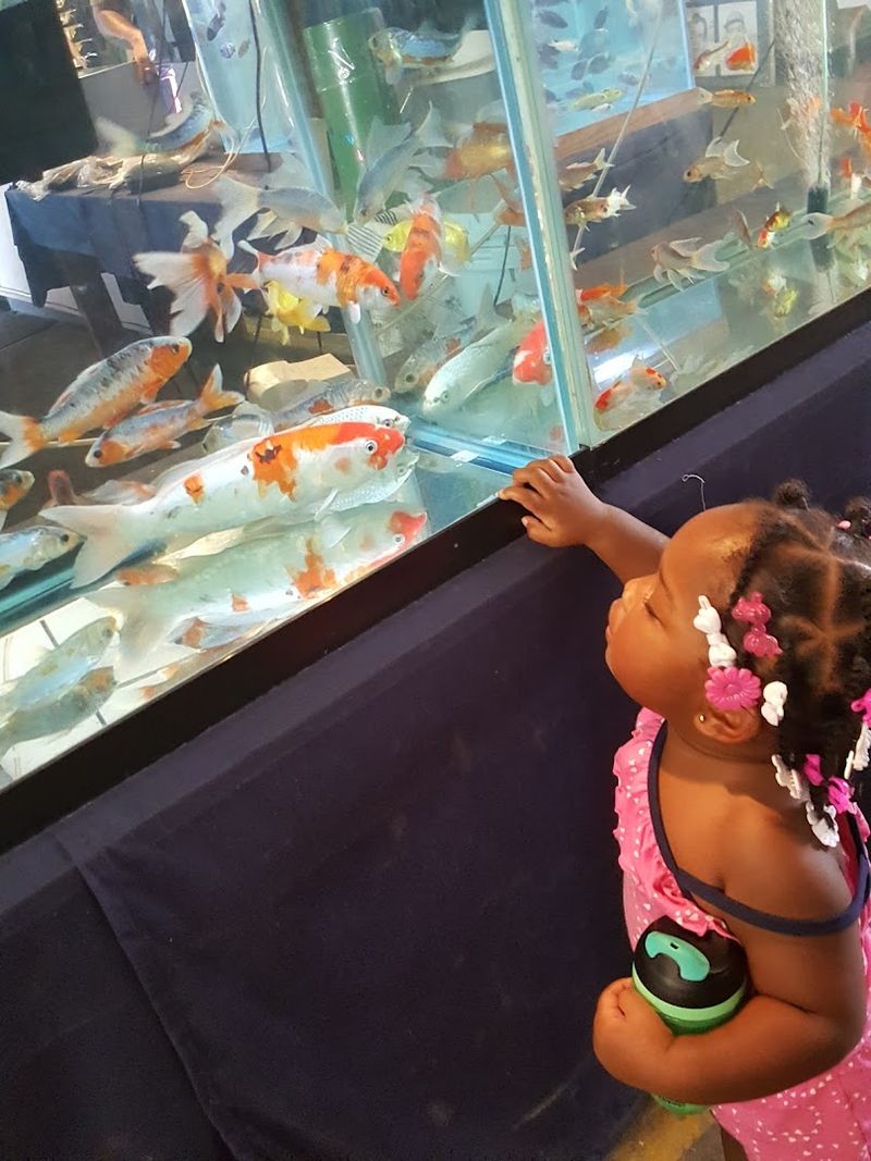 Live Animals and Critters That Delight the Whole Family