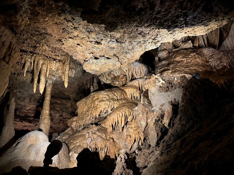 Live Bats Hanging Out Right Above You