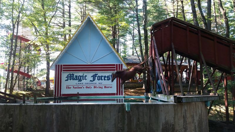 Live Magic Shows That Wow Every Age Group