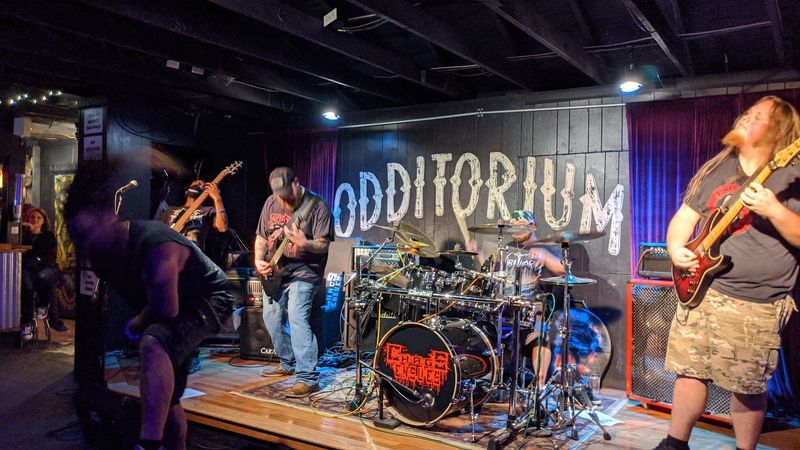 Live Music Nights That Rock the Whole Neighborhood