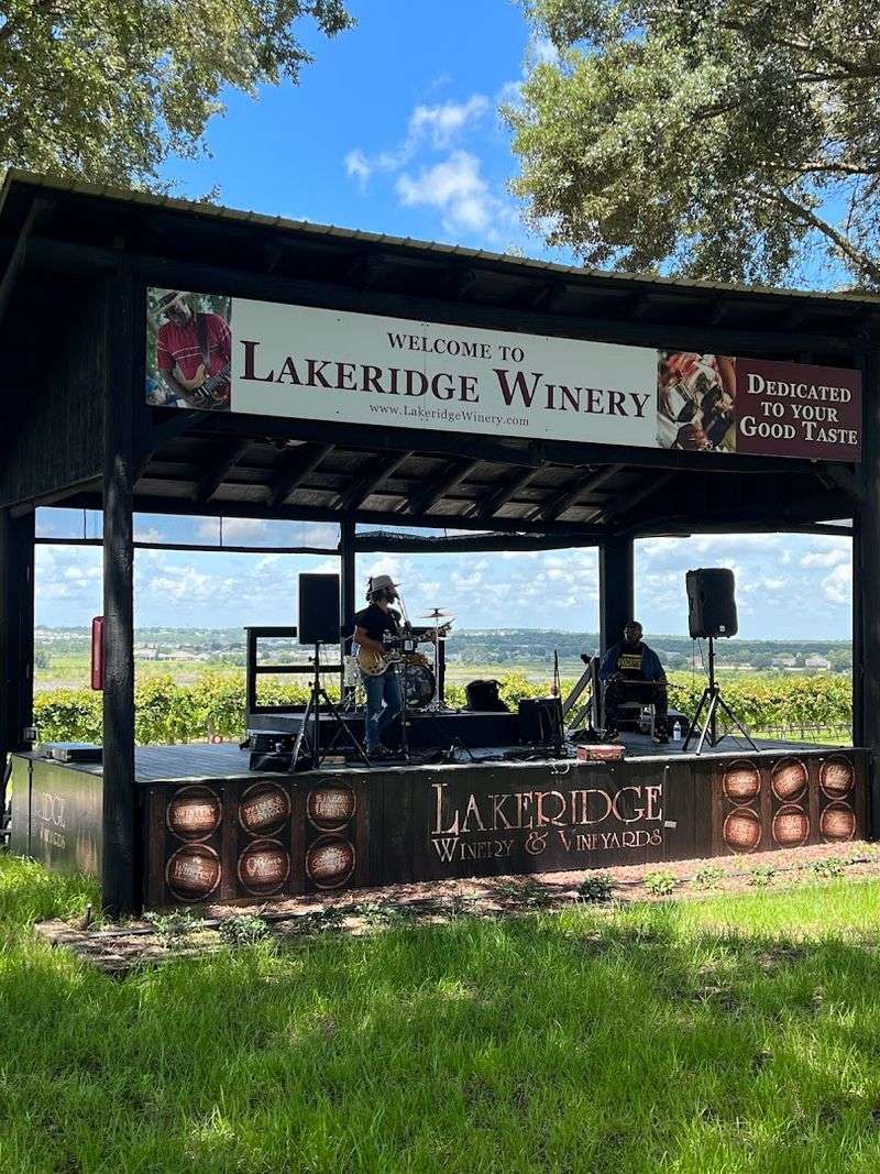 Live Music That Sets the Whole Mood