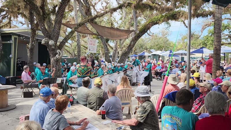Live Music Under the Oak Trees