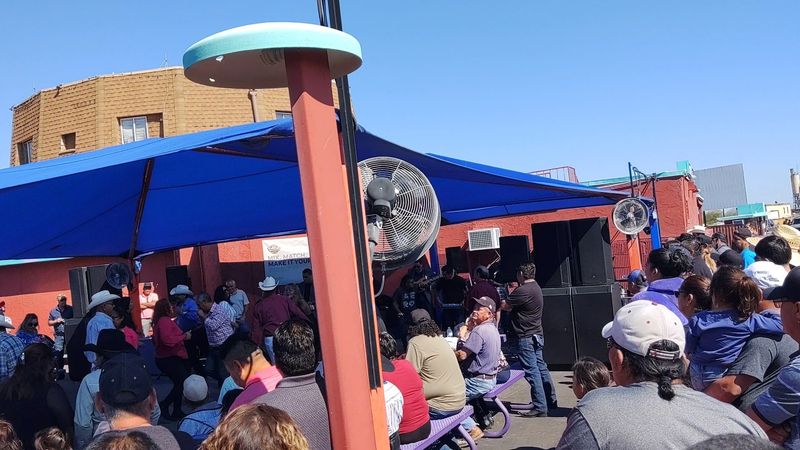 Live Music and Entertainment While You Shop