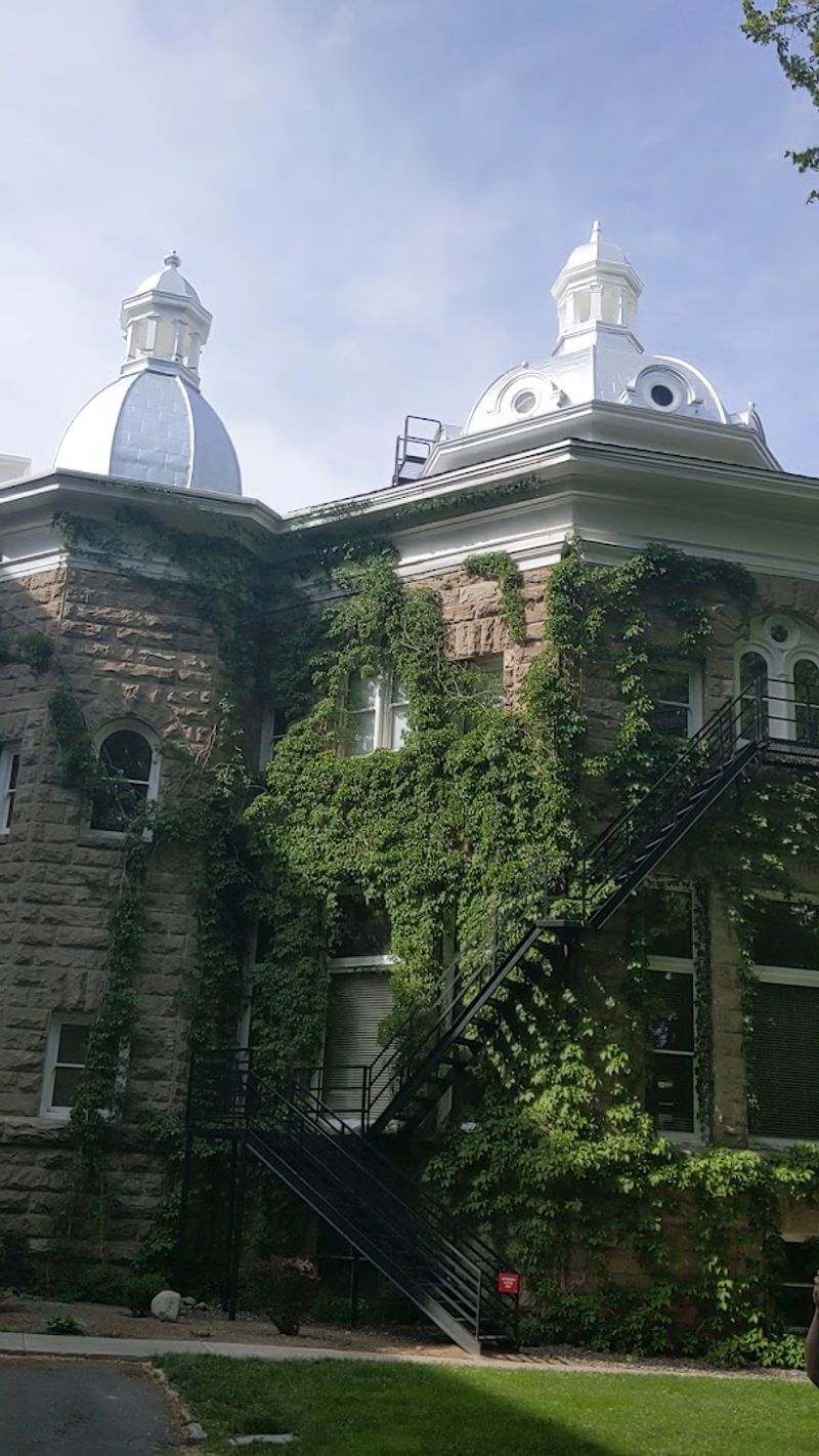 Local Estate Sales and Auction Houses