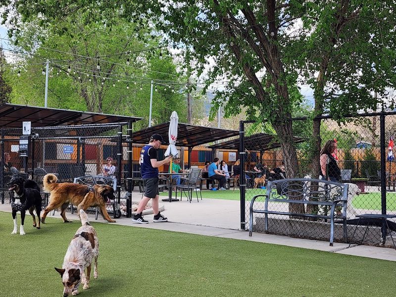 Location Right Next to Bear Creek Dog Park