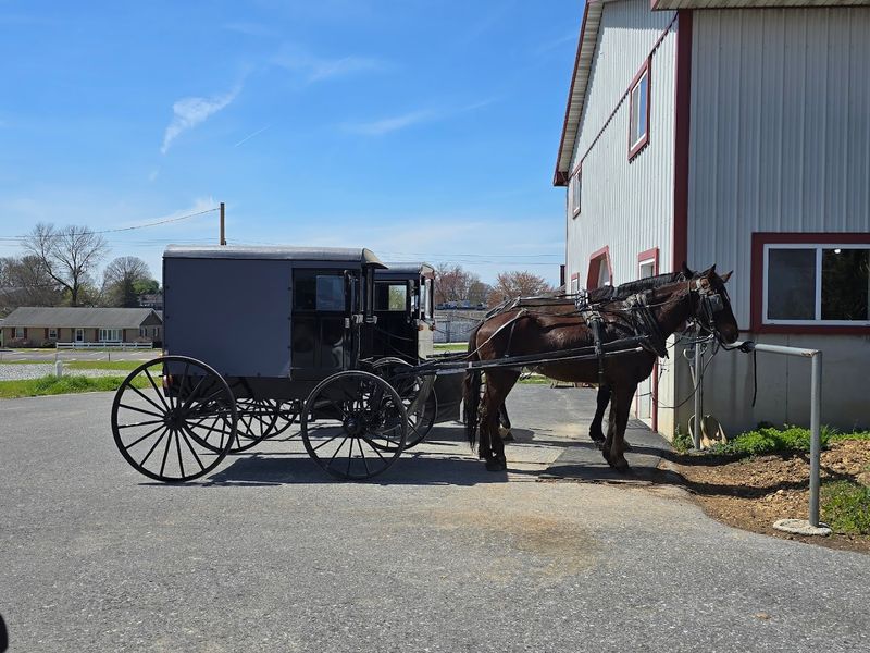 Location in the Heart of Amish Country