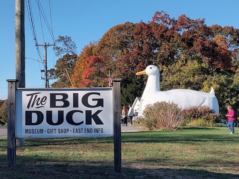 Long Island Duck Farming: The History Behind the Honk