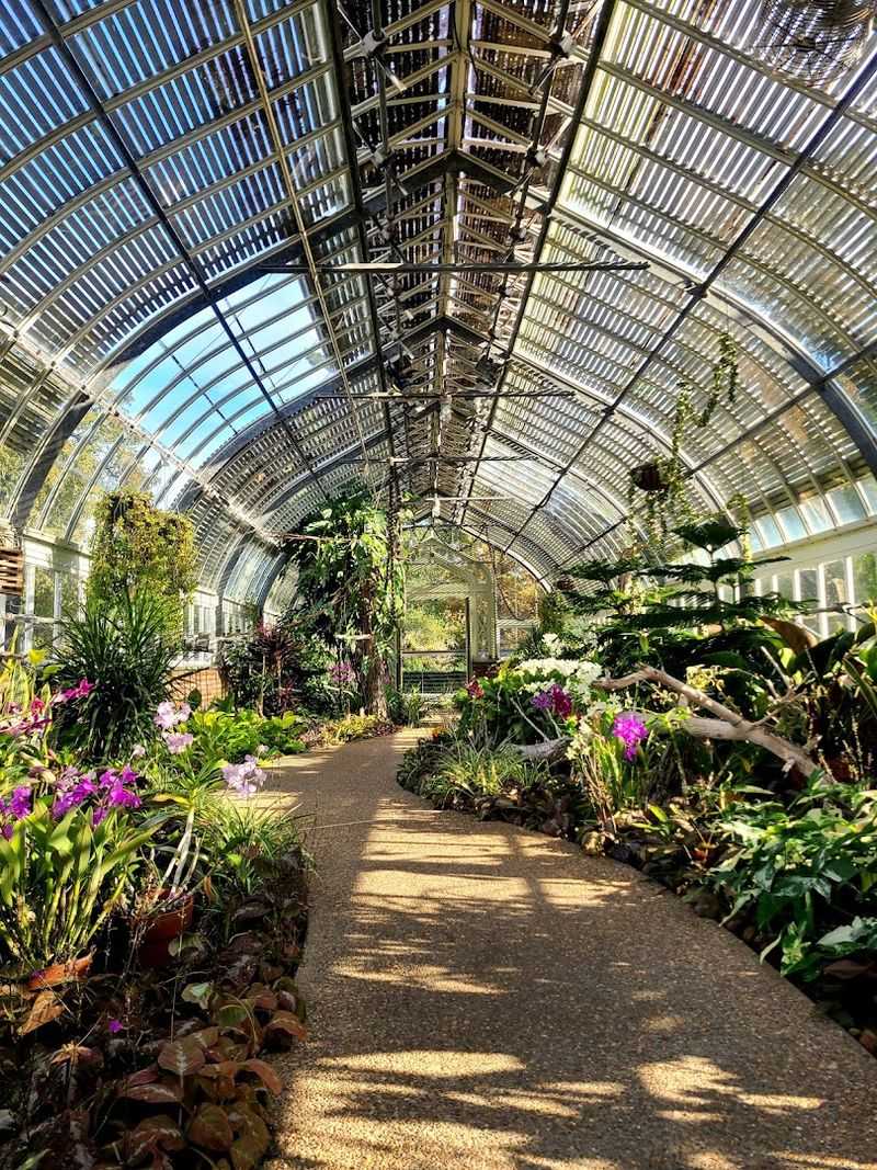 Lush Greenhouses Bursting With Vibrant Plant Life