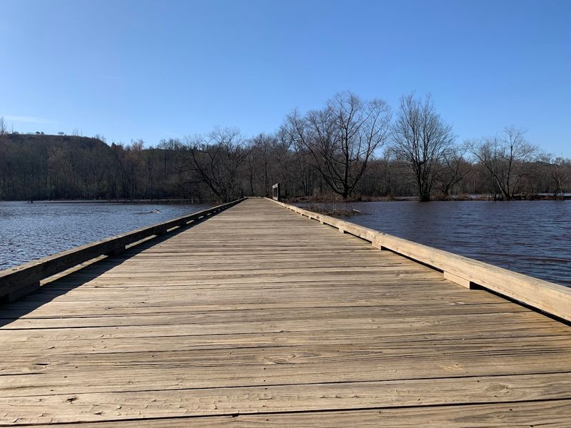 Making the Most of Your Visit to Constitution Lakes Park