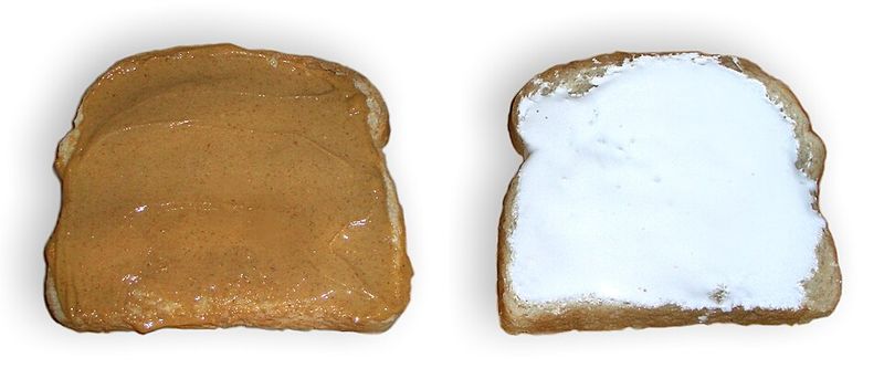Marshmallow fluff sandwich
